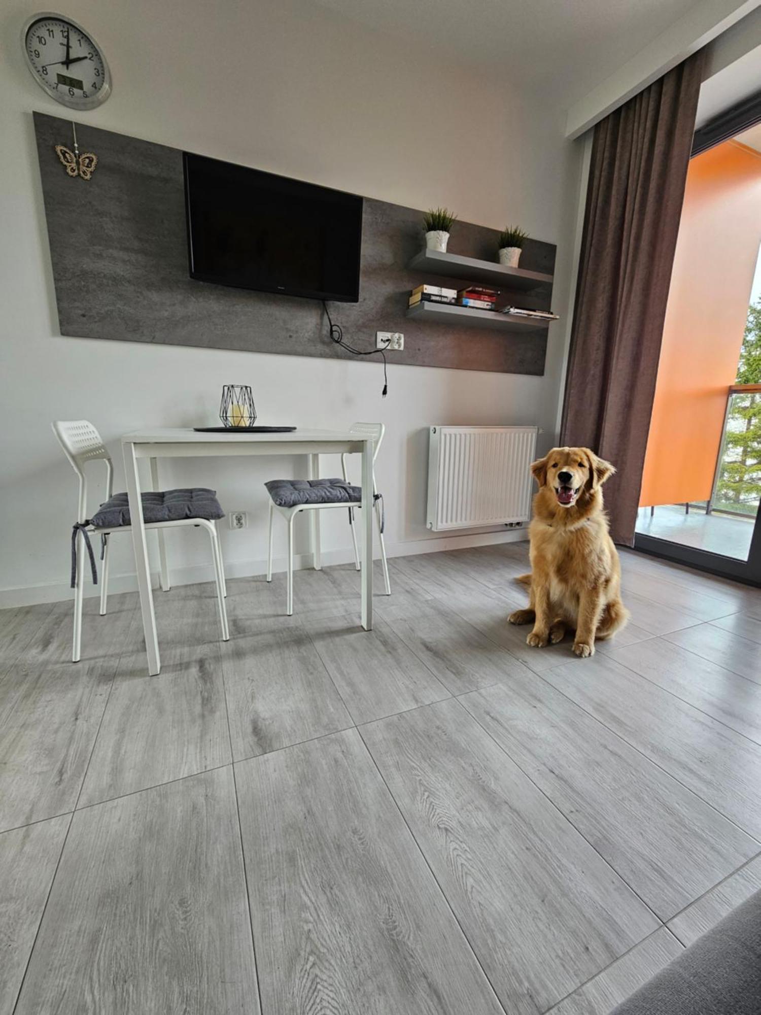 Apartament B106 - Residence Jastrzebia Gora Exterior photo